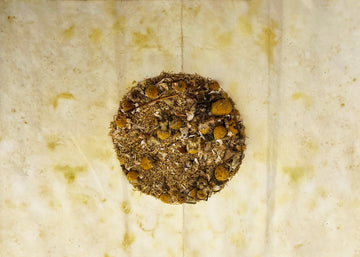 Chamomile